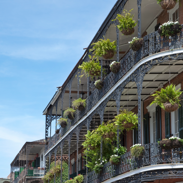 The New Orleans, LA Travel Guide